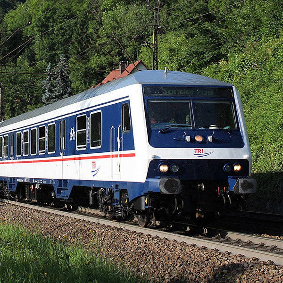 Ein Zug von TRI fährt auf einem Gleis an einem Wald vorbei.