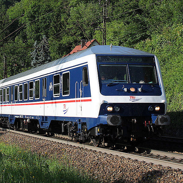 Ein Zug von TRI fährt auf einem Gleis an einem Wald vorbei.